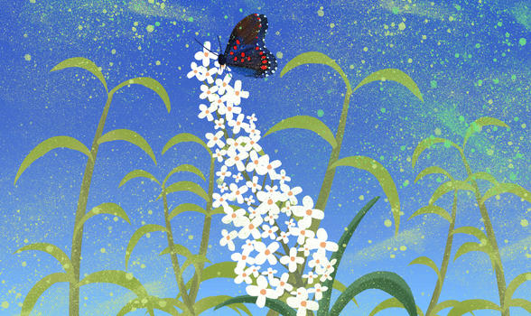 蝴蝶植物插画图片素材免费下载