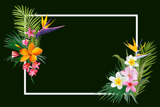 花卉植物边框图片素材免费下载