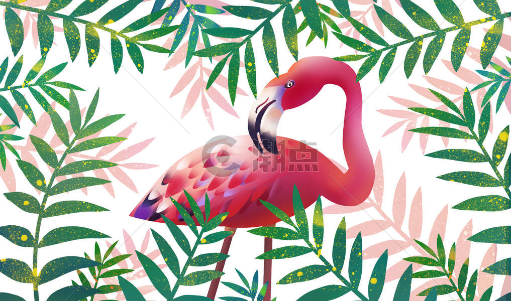 火烈鸟植物插画图片素材免费下载