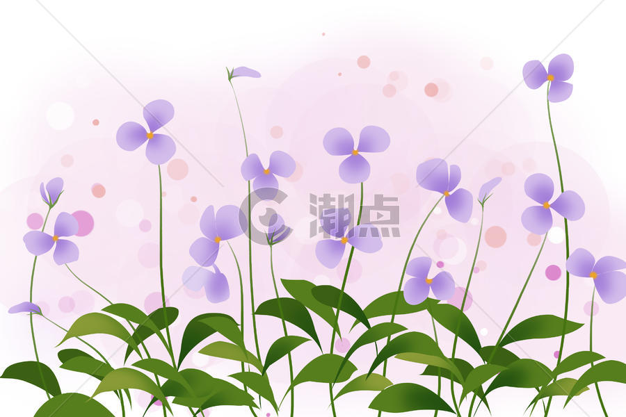 蝴蝶兰花卉背景图片素材免费下载
