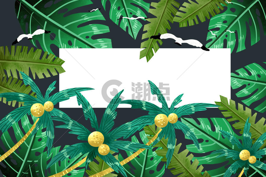 椰树植被背景图片素材免费下载