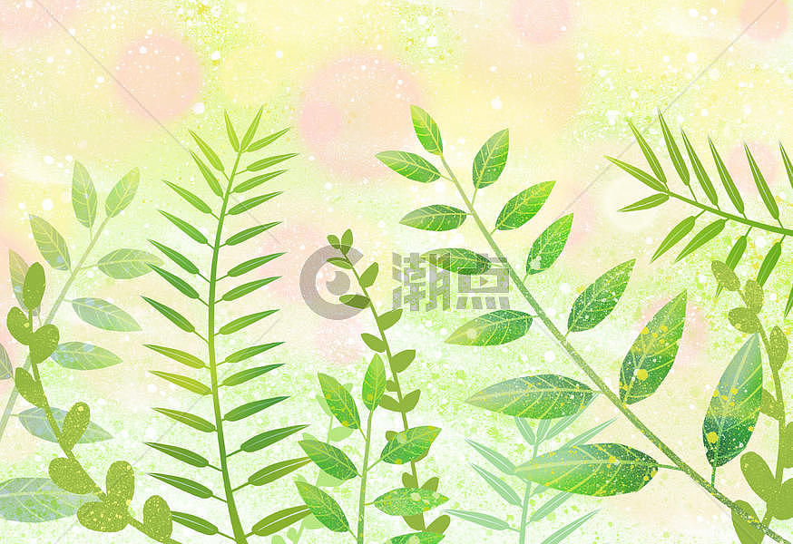 小清新植物插画图片素材免费下载