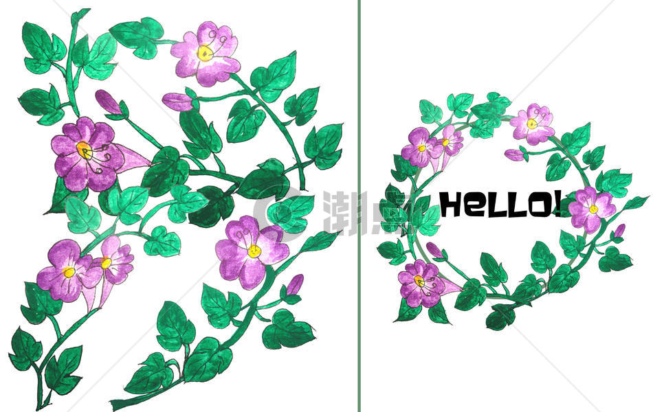 手绘水彩地瓜的花图片素材免费下载
