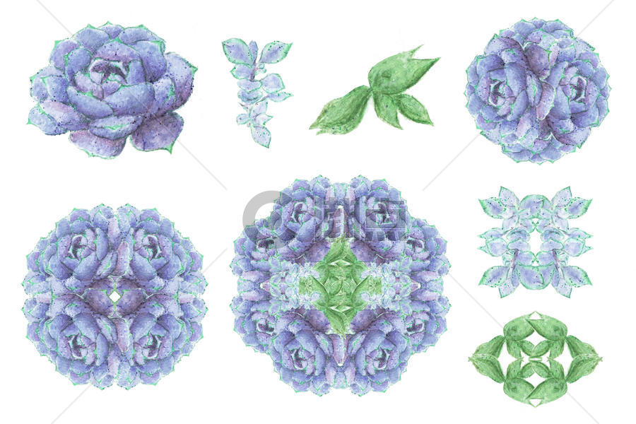 水彩彩铅多肉花朵组合图片素材免费下载