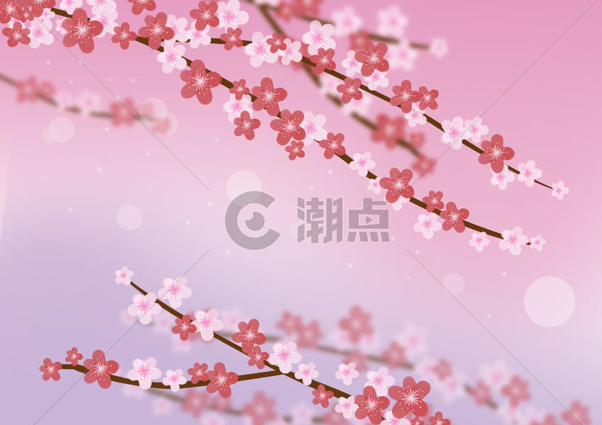 粉红樱花图片素材免费下载
