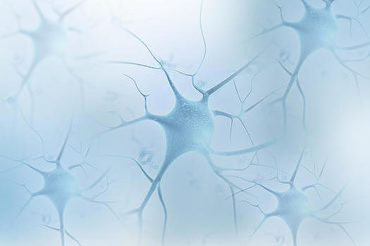 神经细胞背景图片素材免费下载