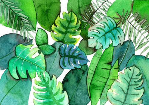 水彩手绘植物图片素材免费下载