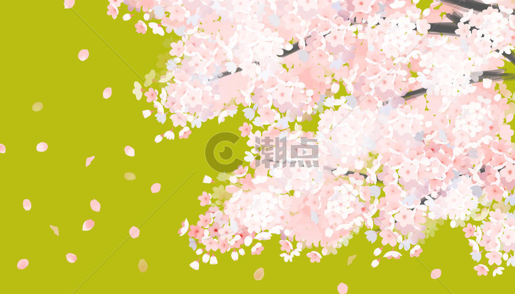 唯美的樱花图片素材免费下载