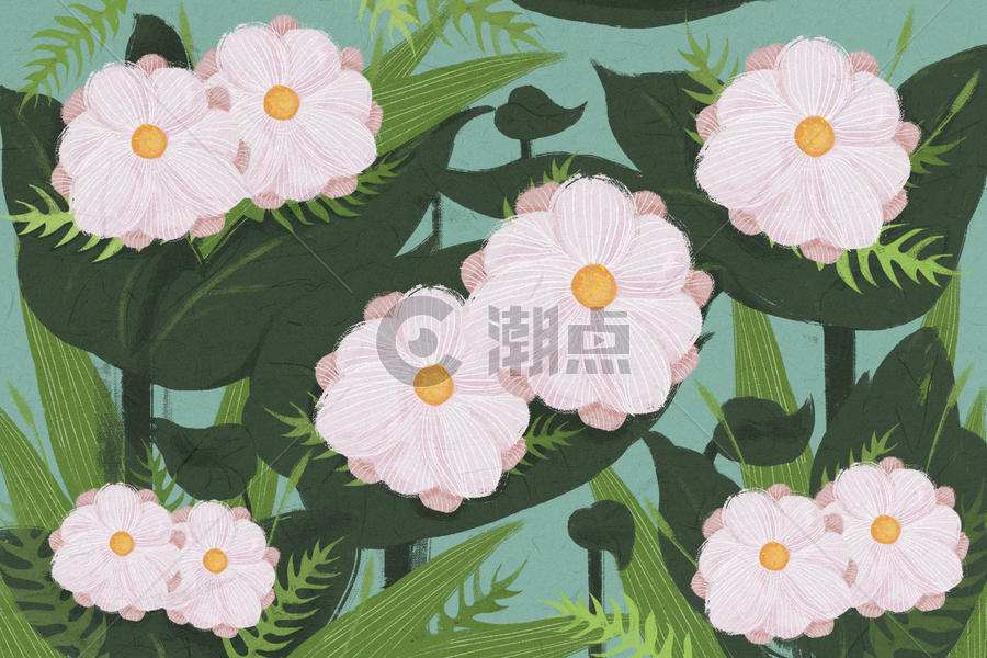 清新花卉植物图片素材免费下载