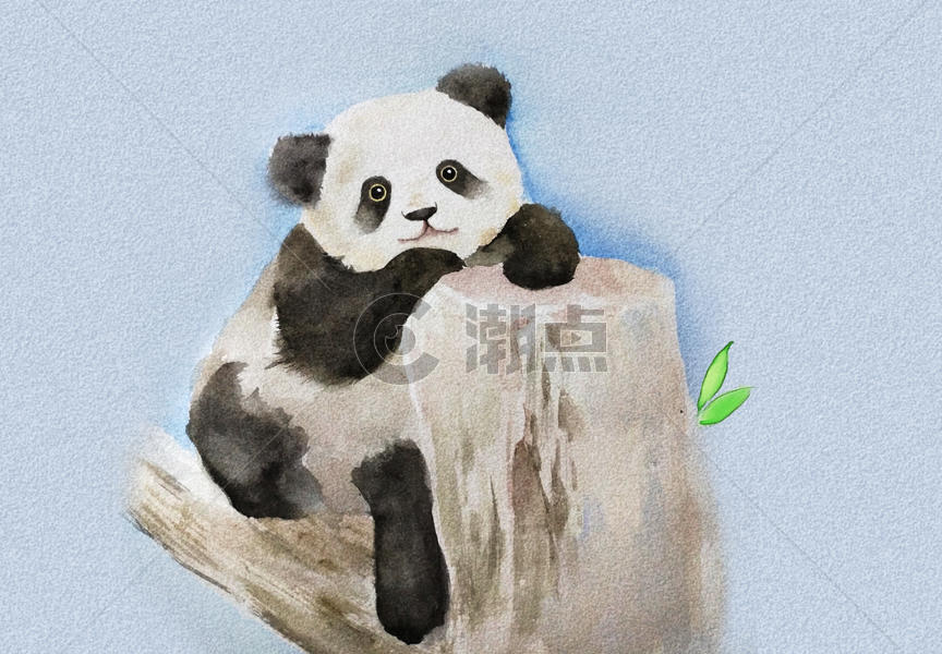 大熊猫图片素材免费下载