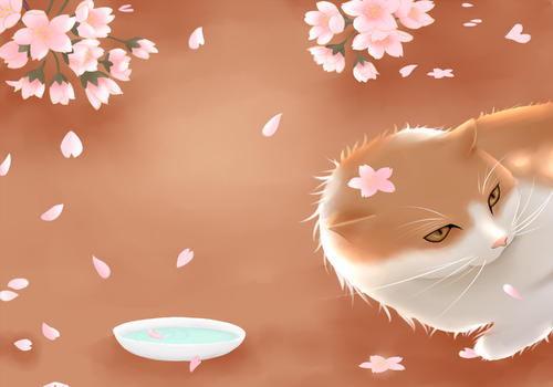 樱花树下的猫图片素材免费下载
