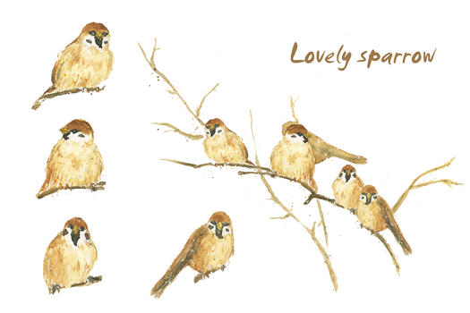 水彩手绘鸟类麻雀图片素材免费下载