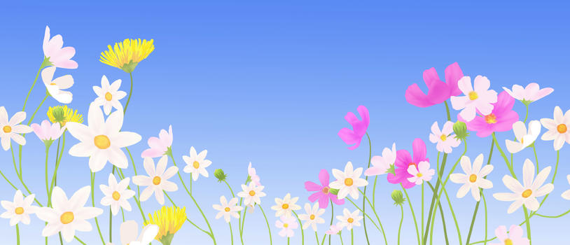 花卉背景图片素材免费下载