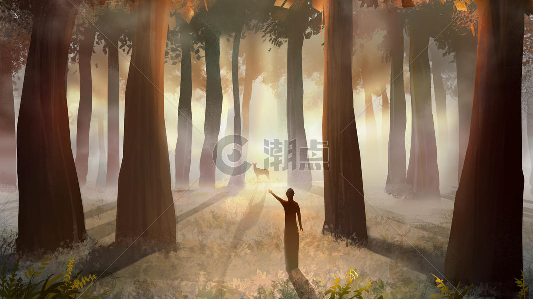 深秋迷雾的森林图片素材免费下载
