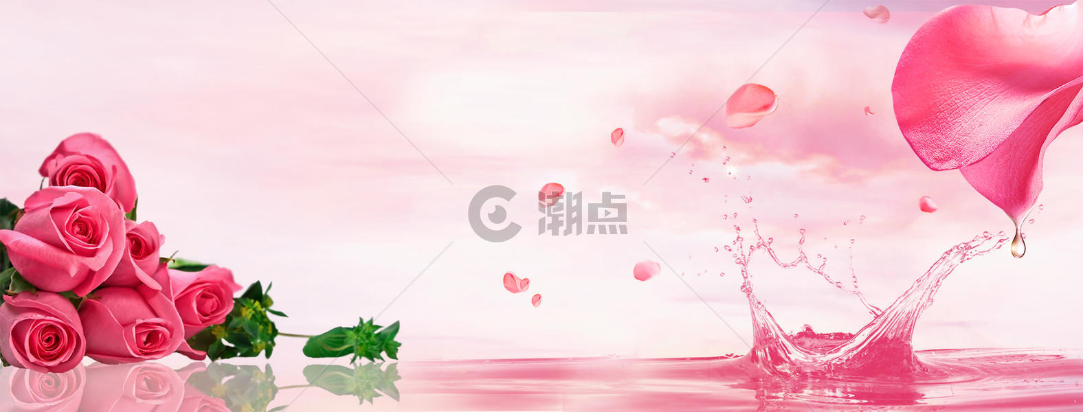 粉色玫瑰背景图片素材免费下载
