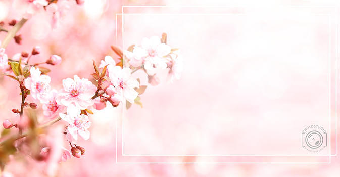 粉红色桃花唯美春意背景图片素材免费下载