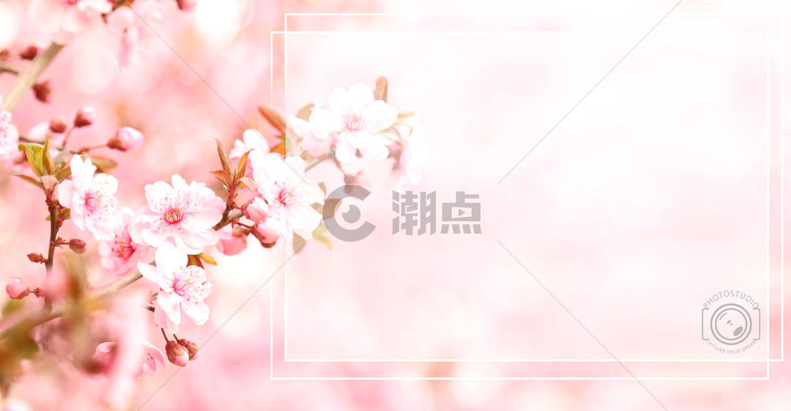 粉红色桃花唯美春意背景图片素材免费下载