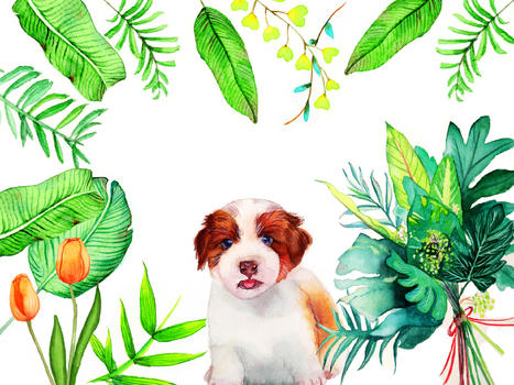 水彩手绘植物动物图片素材免费下载