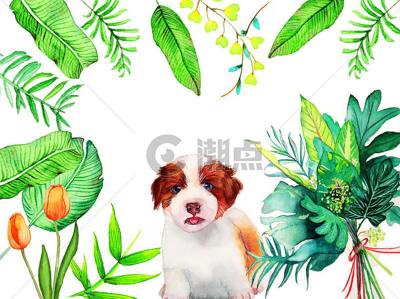 水彩手绘植物动物图片素材免费下载