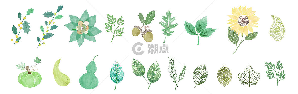 小清新植物素材图片素材免费下载