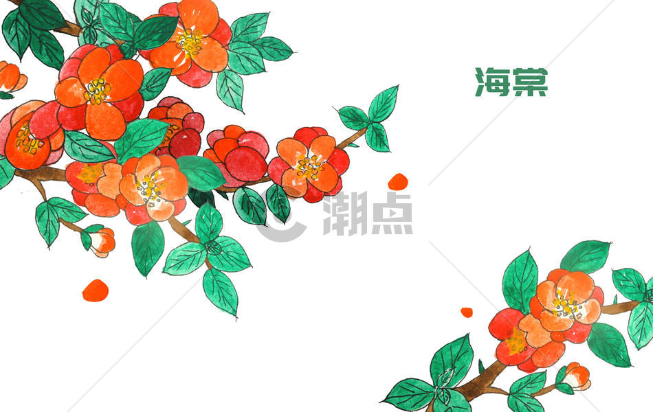 手绘水彩海棠图片素材免费下载