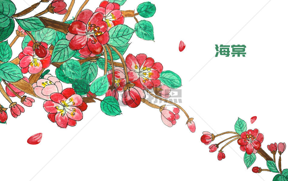 手绘水彩海棠图片素材免费下载