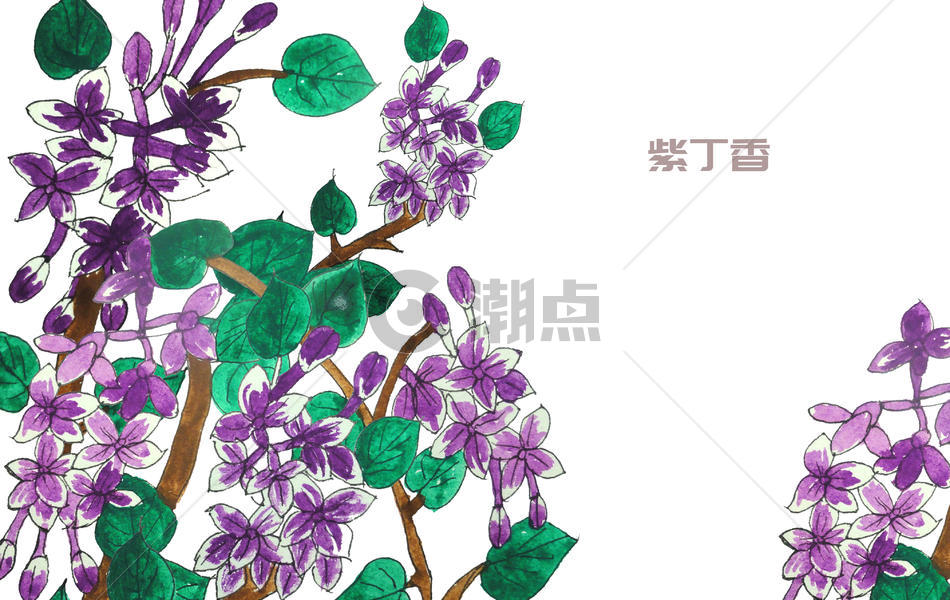 手绘水彩紫丁香花图片素材免费下载