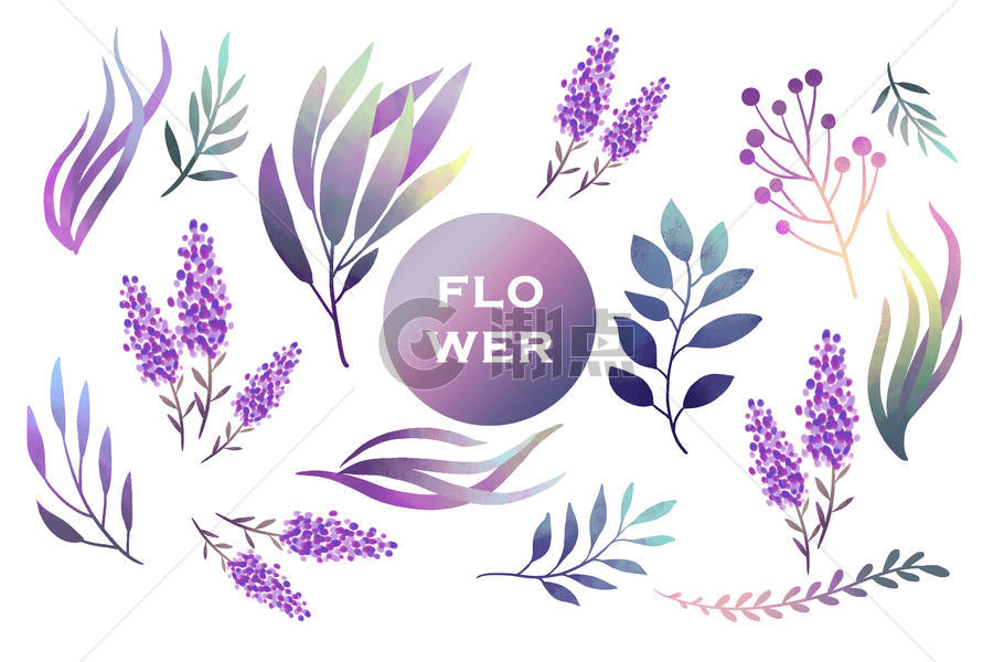紫色薰衣草花卉植物元素图片素材免费下载