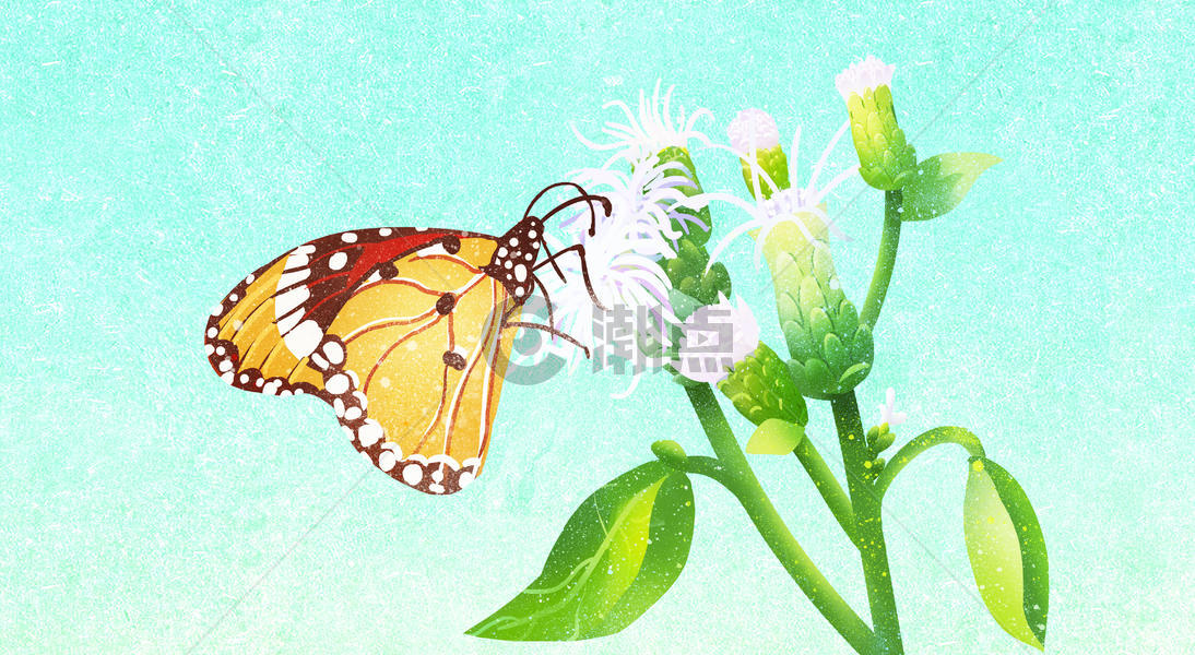 花儿与蝶儿图片素材免费下载