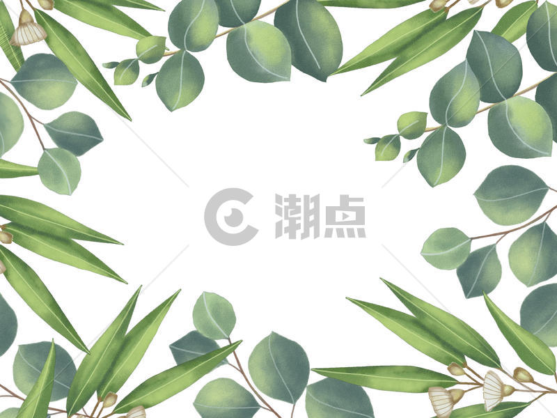 热带植物背景图片素材免费下载