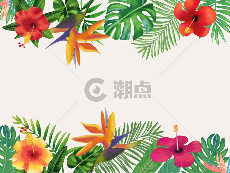 水彩热带树叶花卉背景图片素材免费下载