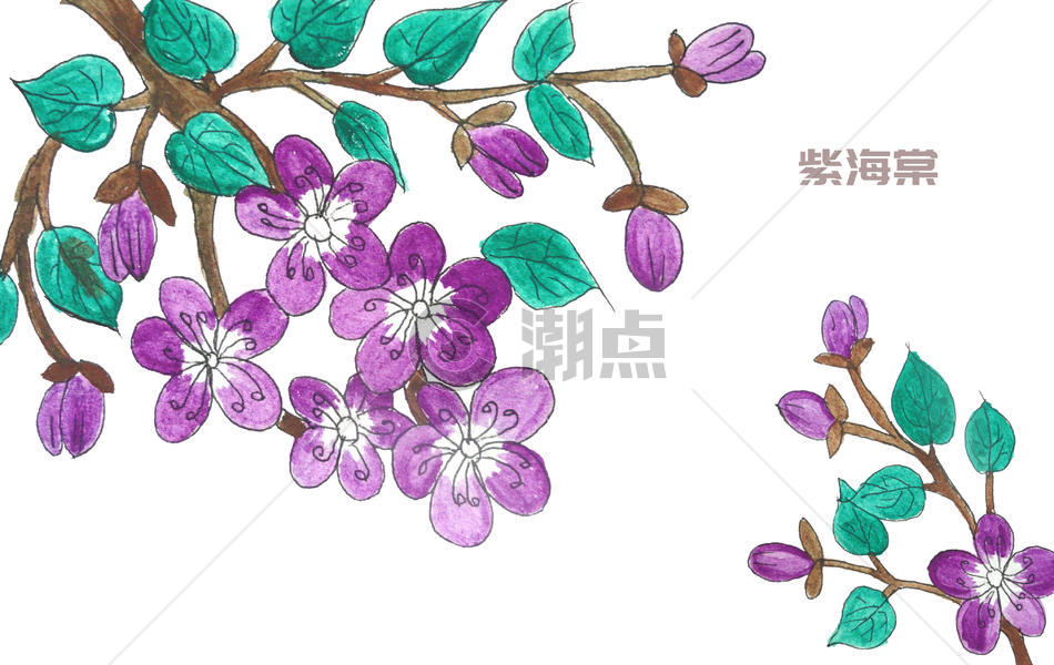 手绘水彩紫海棠图片素材免费下载