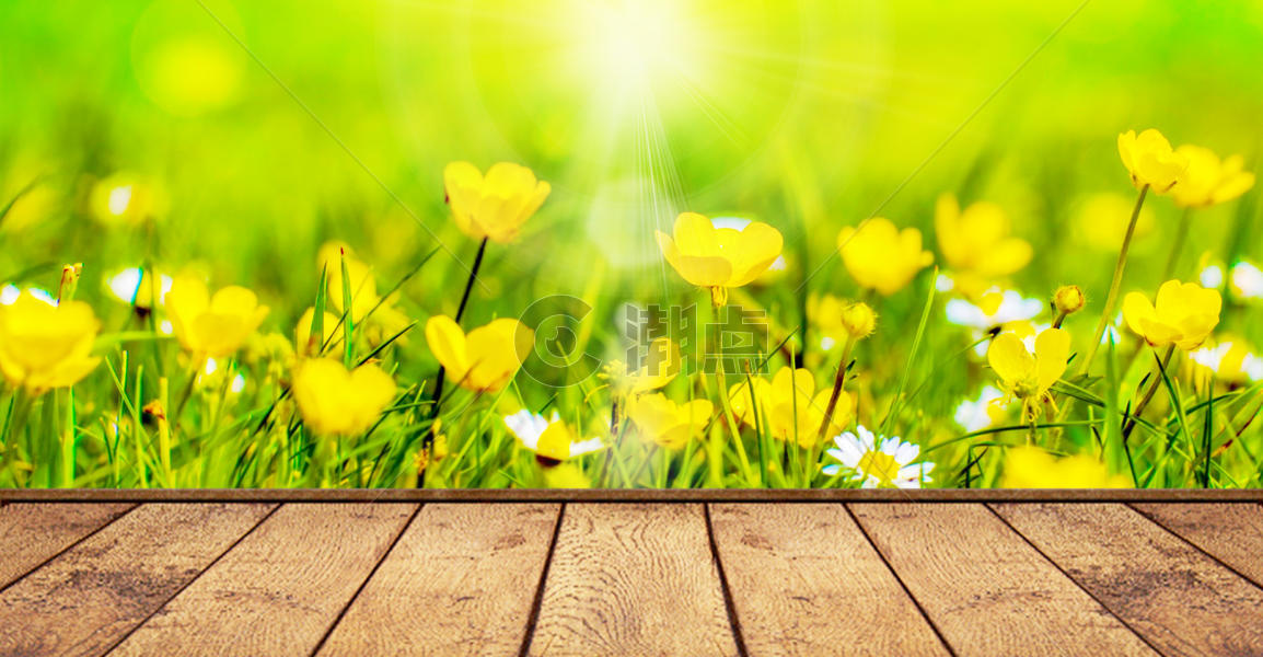 春季光晕光效背景图片素材免费下载
