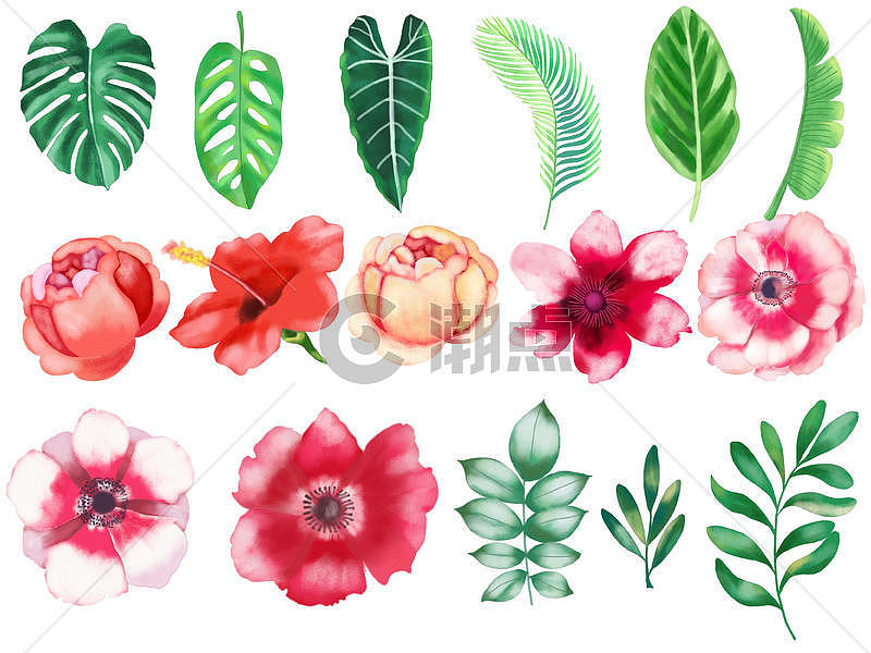 水彩花卉素材图片素材免费下载