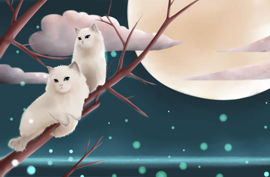 月夜下的猫图片素材免费下载