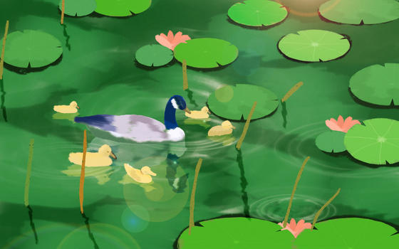 立夏野鸭戏水插画图片素材免费下载