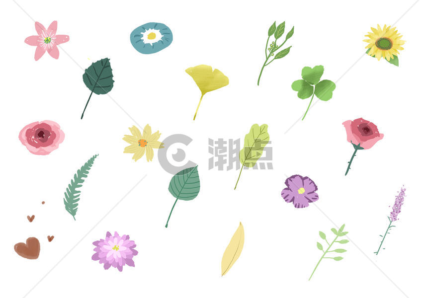植物花卉元素素材图片素材免费下载
