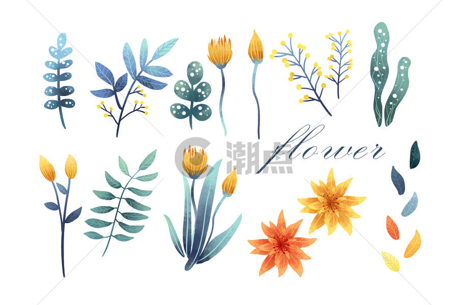 花卉植物元素集合图片素材免费下载