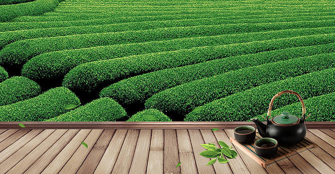 清新春茶广告背景图片素材免费下载