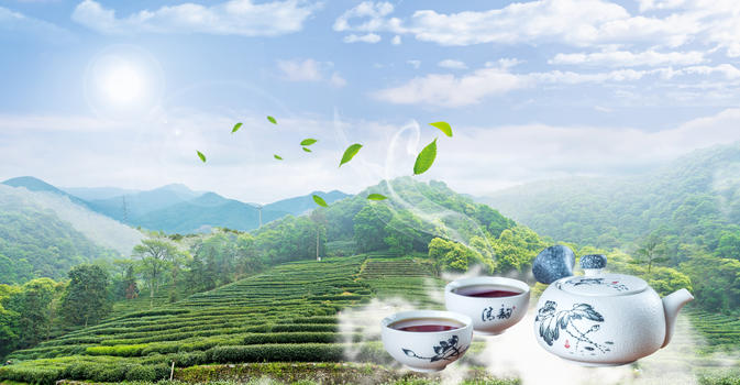 绿色清新春茶背景图片素材免费下载