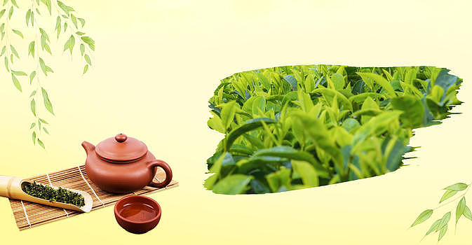 绿色清新春茶背景图片素材免费下载