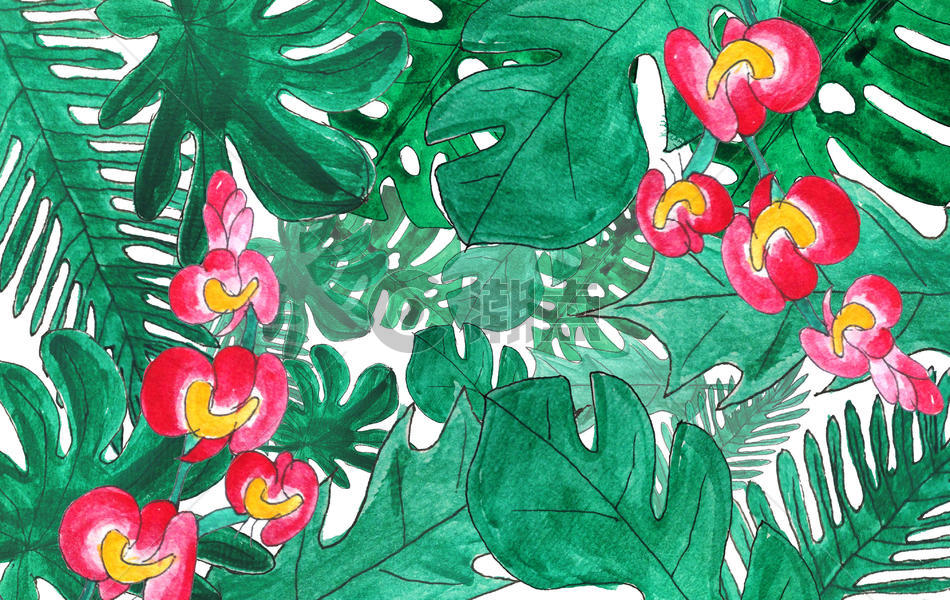 手绘 水彩 热带植物图片素材免费下载