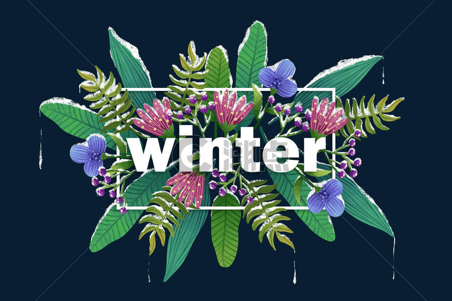 唯美冬日字母边框花卉图片素材免费下载