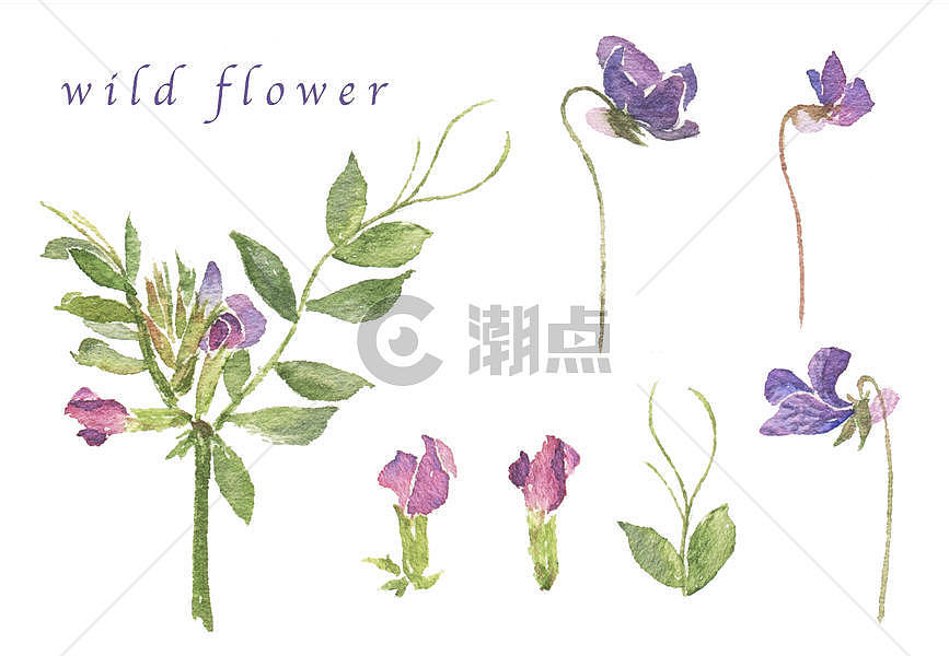 水彩清新花卉组合图片素材免费下载