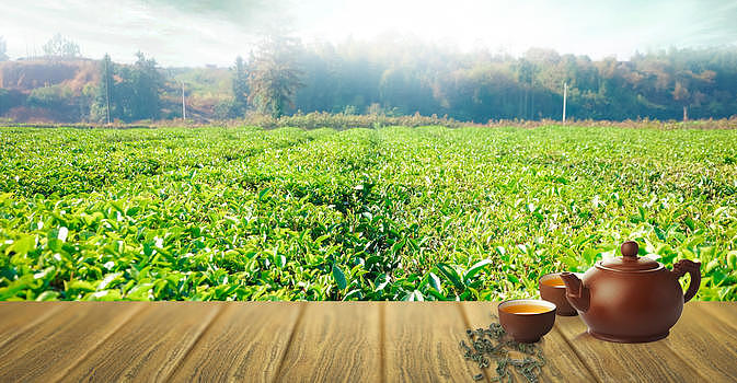 绿色清新春茶广告背景图片素材免费下载