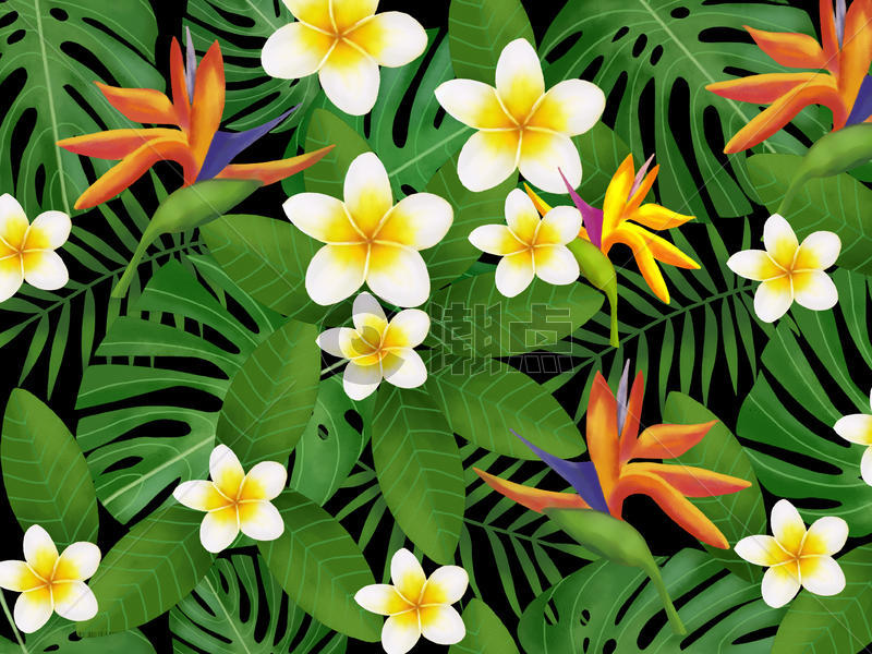 热带植物背景图片素材免费下载