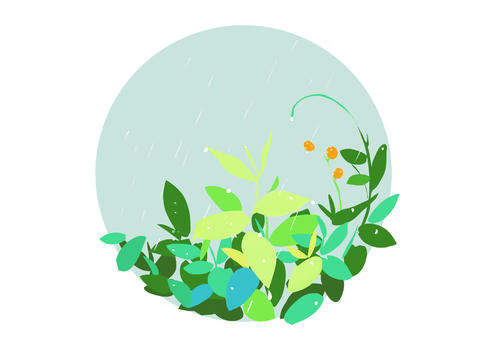 谷雨植物插画图片素材免费下载