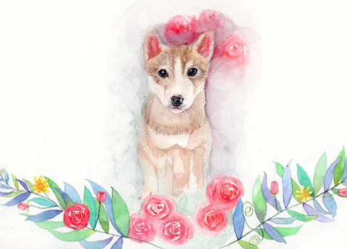 水彩花卉动物手绘图片素材免费下载