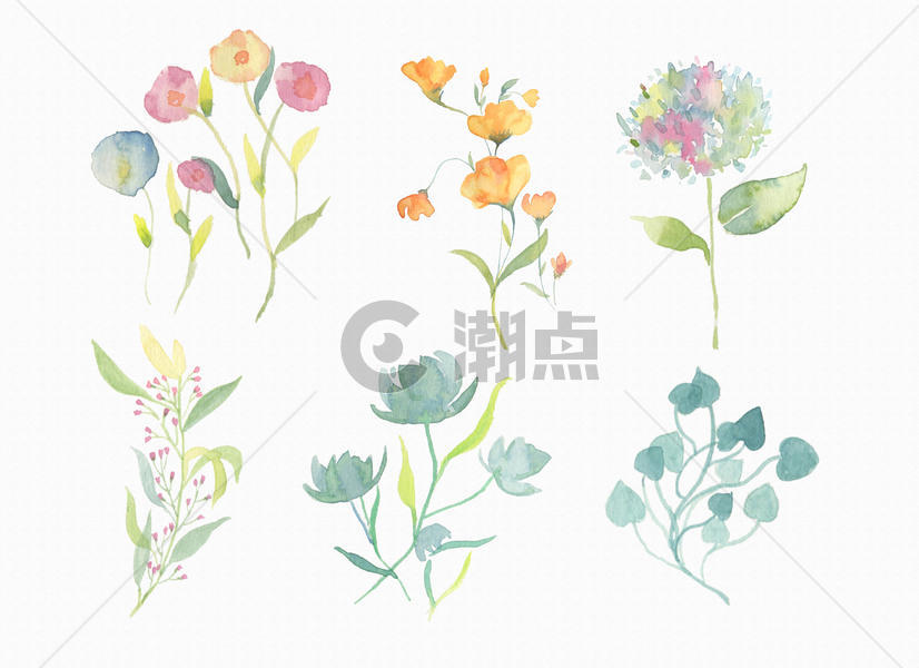 水彩花朵 花朵素材图片素材免费下载