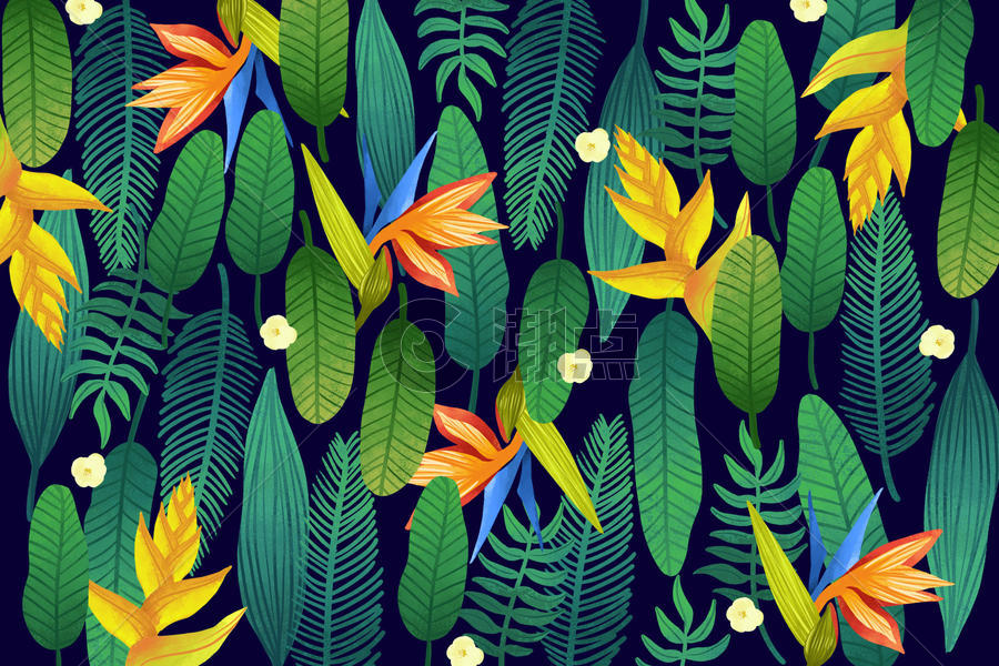 热带植被花卉图案图片素材免费下载